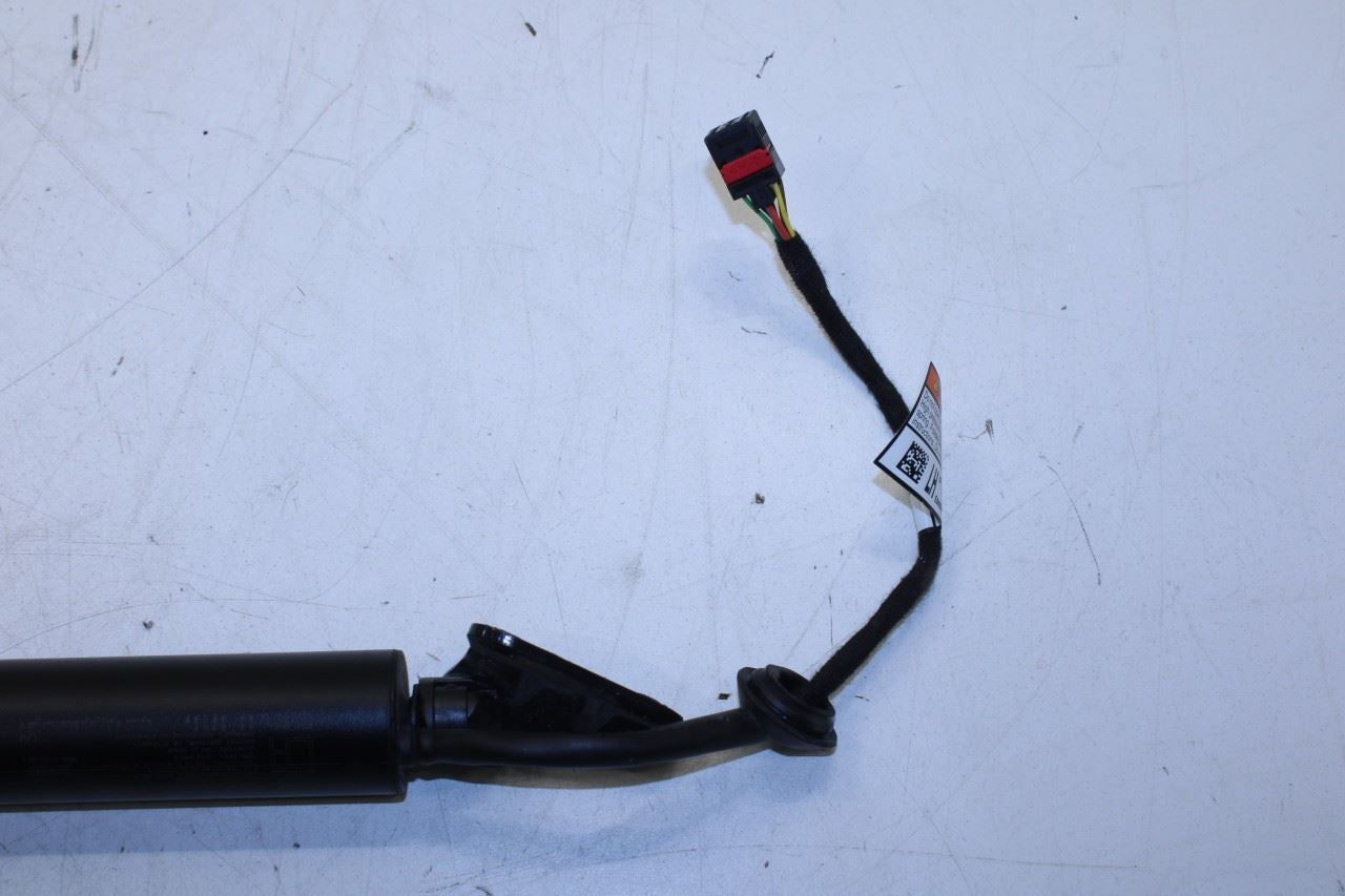 22-25 Hyundai Tucson SEL Rear RH and LH Tailgate Trunk Support Cylinder Strut - Alshned Auto Parts