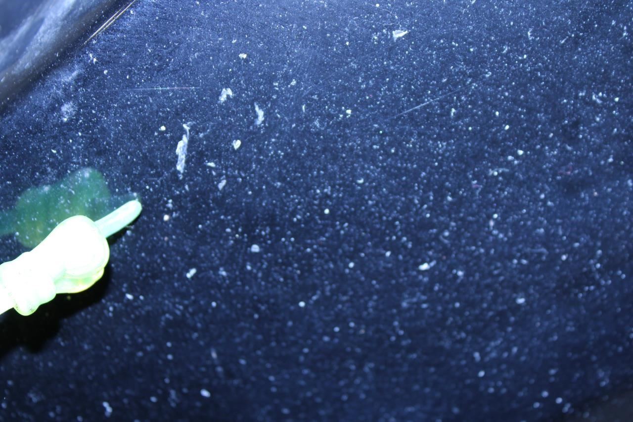 2016-2019 Nissan Sentra SV Front Bumper Cover 62022-3YU0H OEM *ReaD* - Alshned Auto Parts