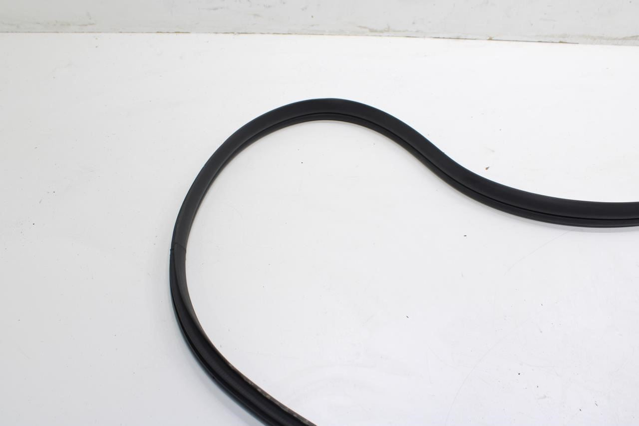 2020-2022 Hyundai Sonata SE Front Right Door Weatherstrip On Body 82120-L0000 - Alshned Auto Parts