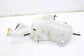18-25 Jeep Compass Latitude Windshield Washer Reservoir Bottle 55112669AA *ReaD* - Alshned Auto Parts