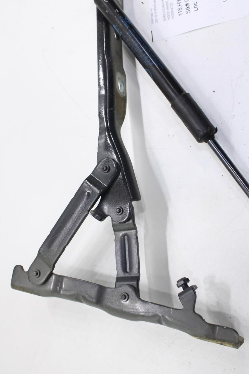 2020-2022 Hyundai Sonata SE Front Right and Left Hood Hinge w/ Lift Cylinder Set - Alshned Auto Parts