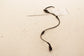 12-22 Volkswagen Passat SE Front Driver Left Side ABS Speed Sensor Wire Harness - Alshned Auto Parts