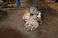 2013-18 Ram 1500 Laramie 5.7L 4WD Rear Axle Differential Carrier 3.21 ratio 183K - Alshned Auto Parts