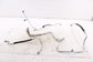 22-24 Volkswagen Jetta SE 1.5L AC Conditioning Suction Discharge Liquid Line Set - Alshned Auto Parts