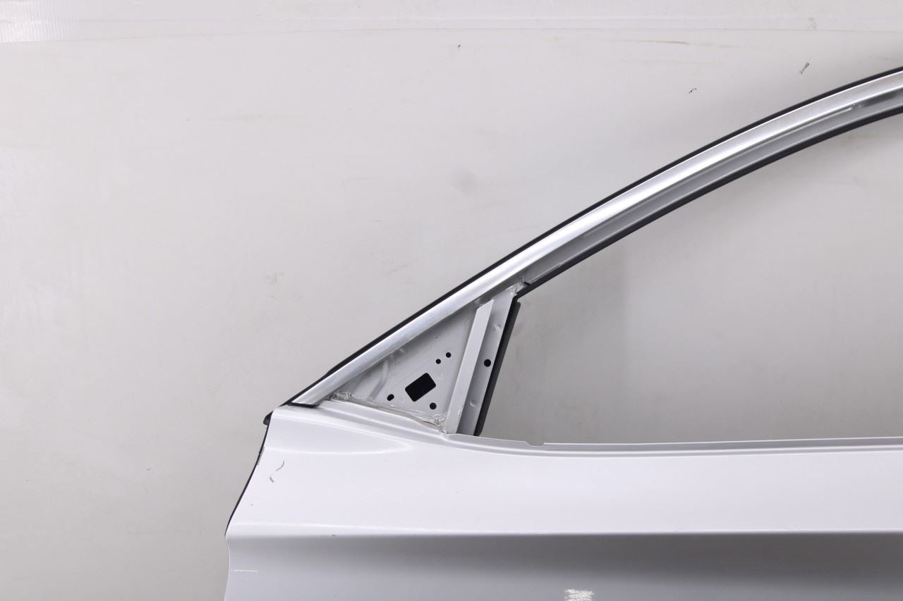2019-2025 Infiniti QX50 ESSENTIAL Front Left Side Door Shell Panel H0101-5NAMA - Alshned Auto Parts
