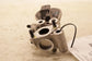 2022-23 Hyundai Tucson SEL 2.5L EGR Exhaust Gas Recirculation Valve 28400-2S000 - Alshned Auto Parts
