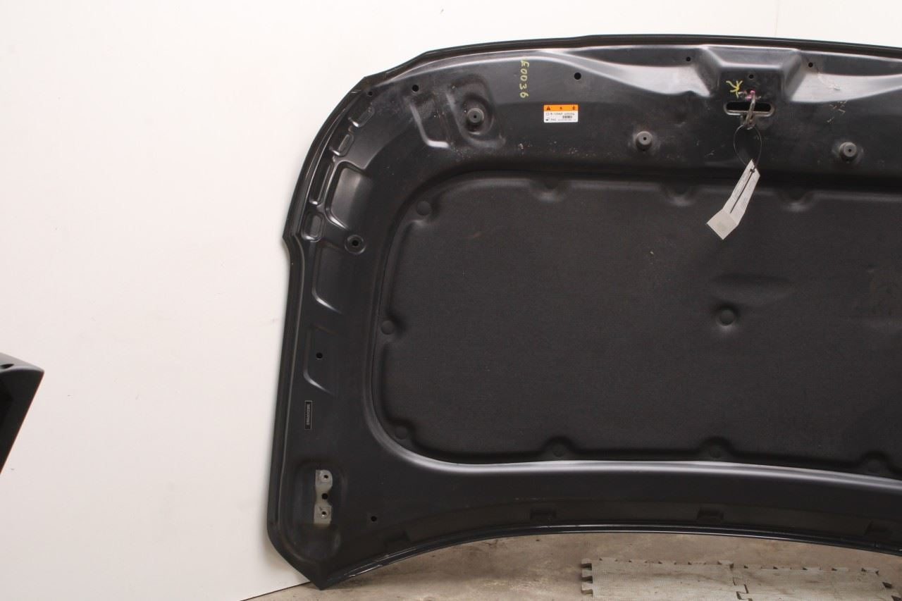 19-23 Hyundai Santa Fe SEL Front Hood Bonnet Shell Panel 66400-S2000 OEM *ReaD*6