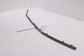 2024-2026 Hyundai Elantra SE Rear Bumper Center Lower Fascia Molding 86699-AAAA016
