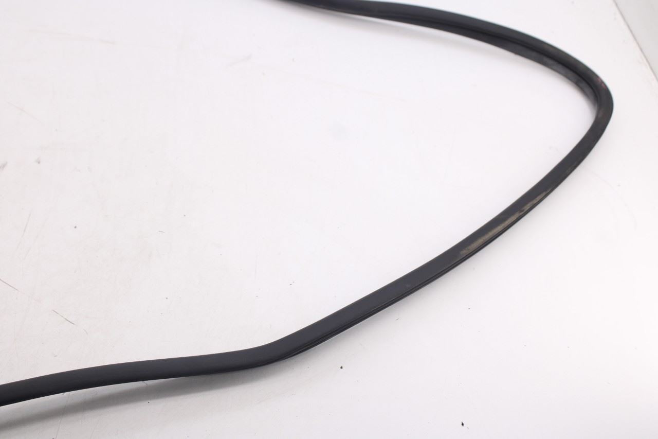 2020-2026 Hyundai Palisade Limited AWD Rear Left Side Door Weatherstrip On Body6