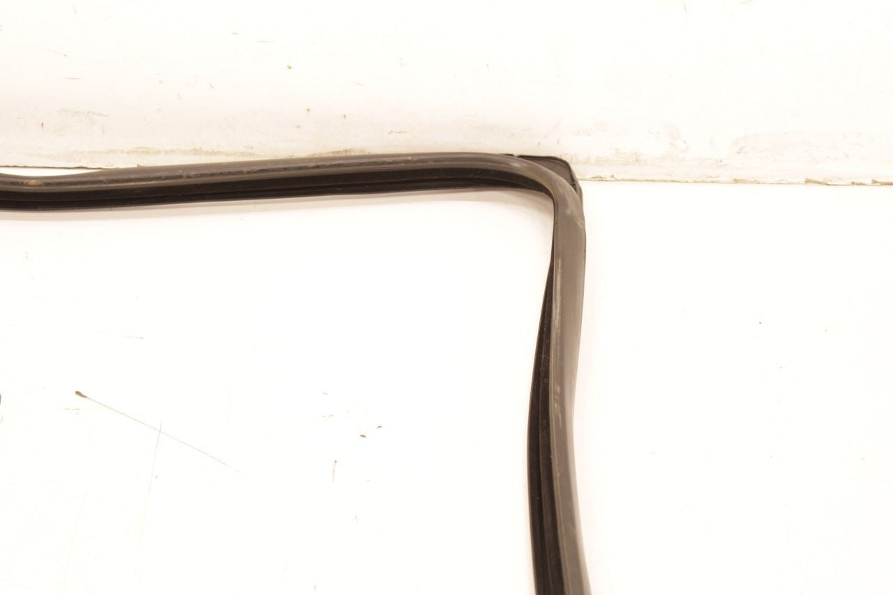 12-18 Ram 1500 Crew Cab Laramie RR LH Door Run Channel w Belt Inner Weatherstrip - Alshned Auto Parts