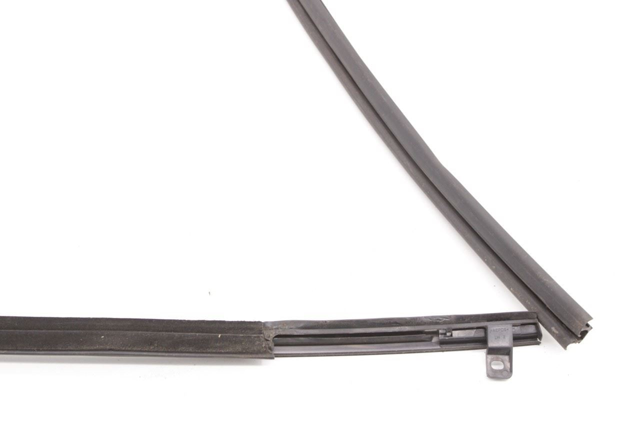 2016-2019 Nissan Sentra SL Front Left Door Run Channel with Belt Outer Molding - Alshned Auto Parts