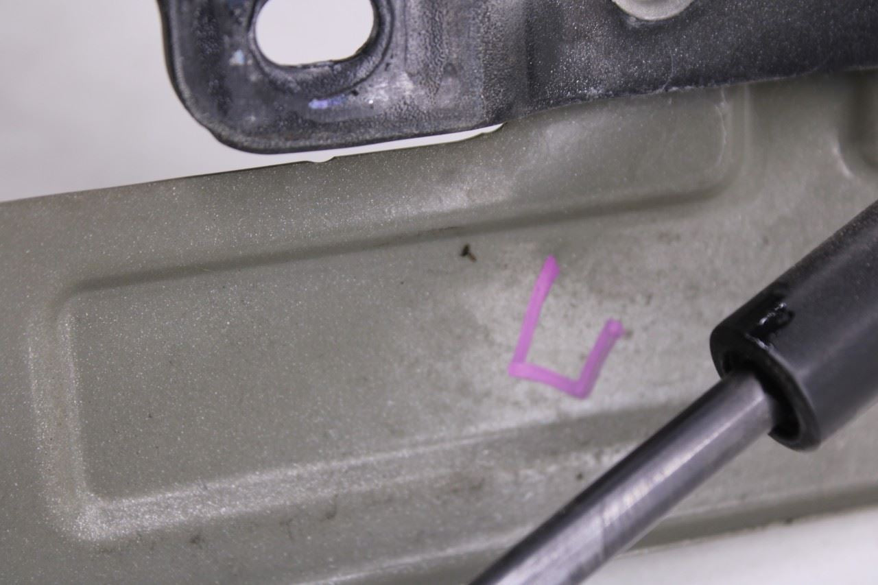 18-24 Ford Expedition Limited Front Right and Left Hood Hinge Set w/ Lift Struts - Alshned Auto Parts
