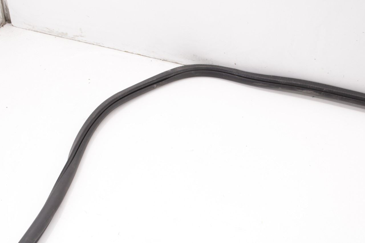 2017-2026 Chrysler Pacifica Limited Rear Left Sliding Door Weatherstrip On Body - Alshned Auto Parts