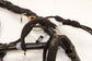 2024-25 Mazda CX-30 2.5 S Dash Instrument Panel Wire Harness DV34-67-030A *ReaD* - Alshned Auto Parts