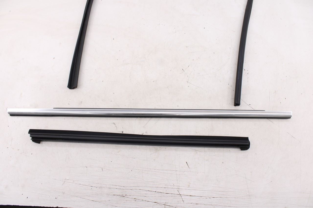 2019-2025 Infiniti QX50 Essential Rear Left Door Glass Run Channel Trim Belt Set - Alshned Auto Parts
