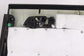 2019-2022 Acura ILX Technology A-Spec Rear Left Side Door Trim Panel *ReaD*13