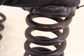 06-09 Mercedes-Benz CLK 350 Rear Right and Left Side Suspension Coil Spring Set - Alshned Auto Parts