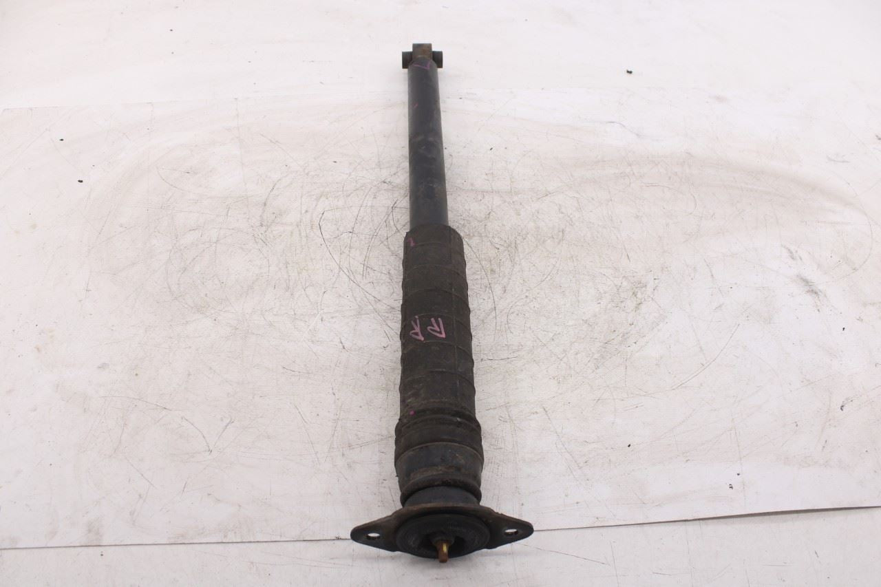 2019-2025 Infiniti QX50 ESSENTIAL 2.0L AWD Rear Right Side Shock Strut Absorber - Alshned Auto Parts
