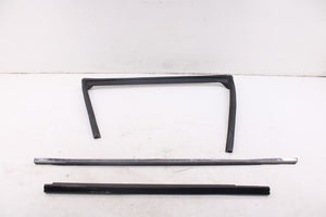 2010-20 Dodge Grand Caravan SXT Rear Right Door Window Run Channel Trim Belt Set