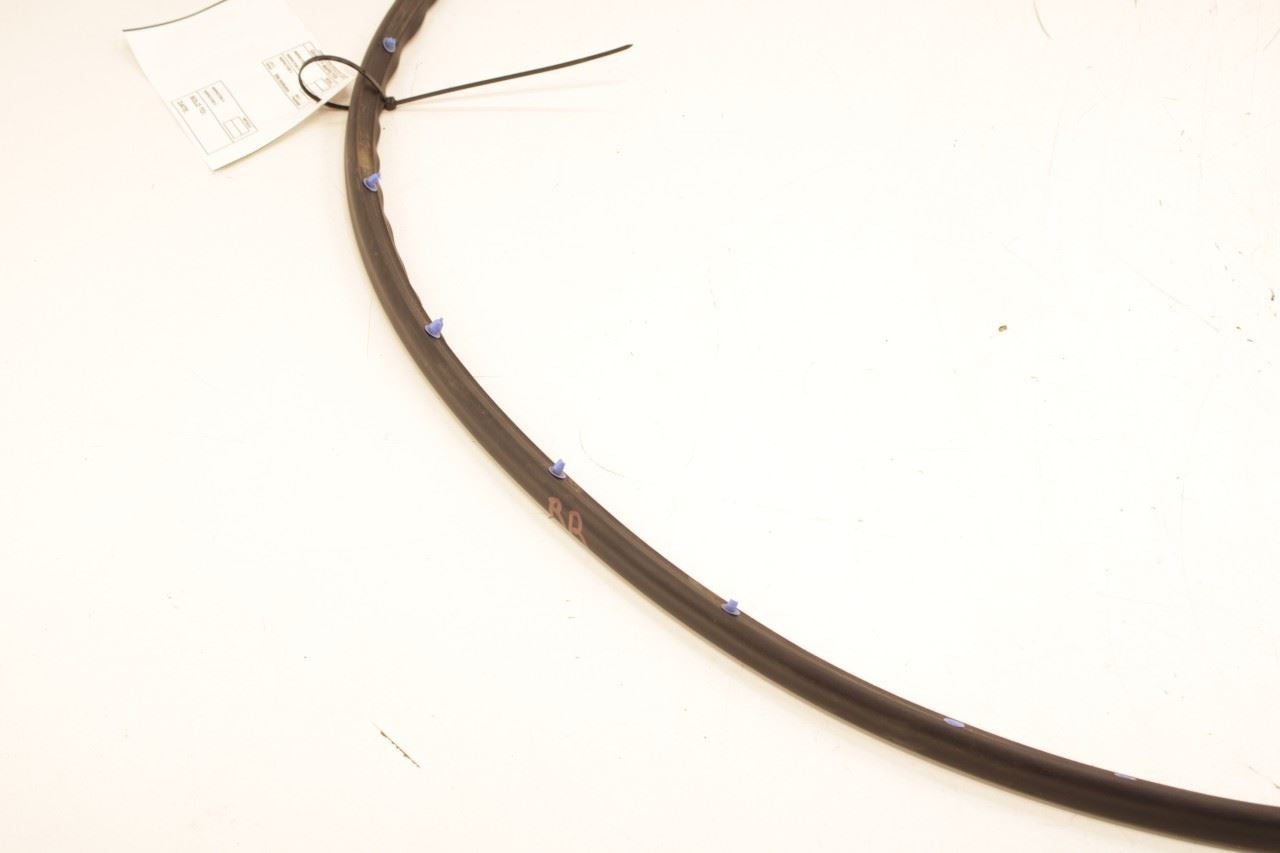 22-24 Hyundai Tucson SEL Rear Right Passenger Door Weatherstrip Seal 83140-CW000 - Alshned Auto Parts