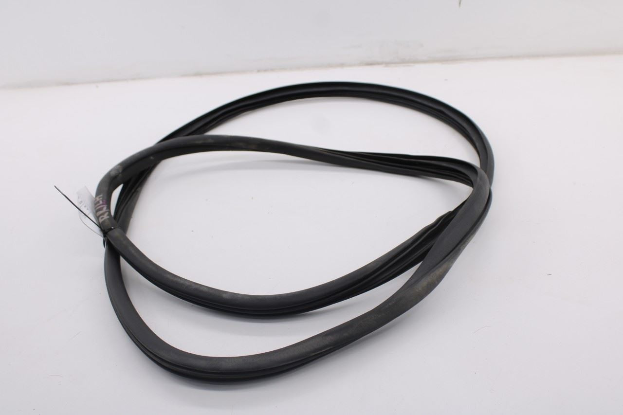 2019-2026 Ram 1500 Big Horn Crew Cab Rear Left Side Door Weatherstrip On Body10