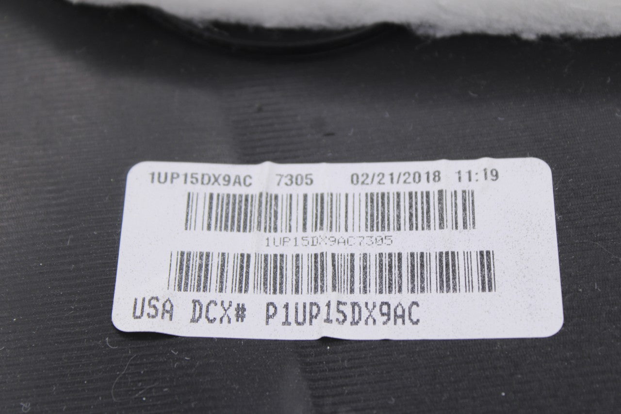 2016-20 Dodge Grand Caravan GT Rear Left Side Sliding Door Trim Panel 1UW07DX9AA16
