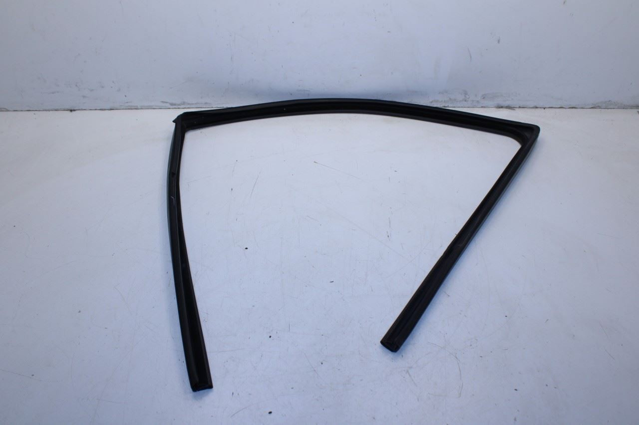 11-18 Ram 1500 Crew Cab Laramie Front Left Door Run Channel w/ Belt Weatherstrip - Alshned Auto Parts