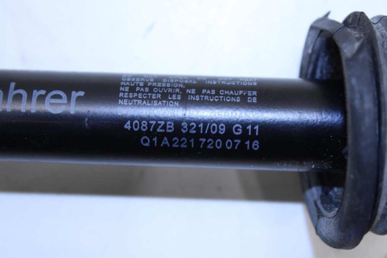 07-11 Mercedes-Benz S550 Front RH or LH Door Check Strap Shock Strut 2217200716 - Alshned Auto Parts