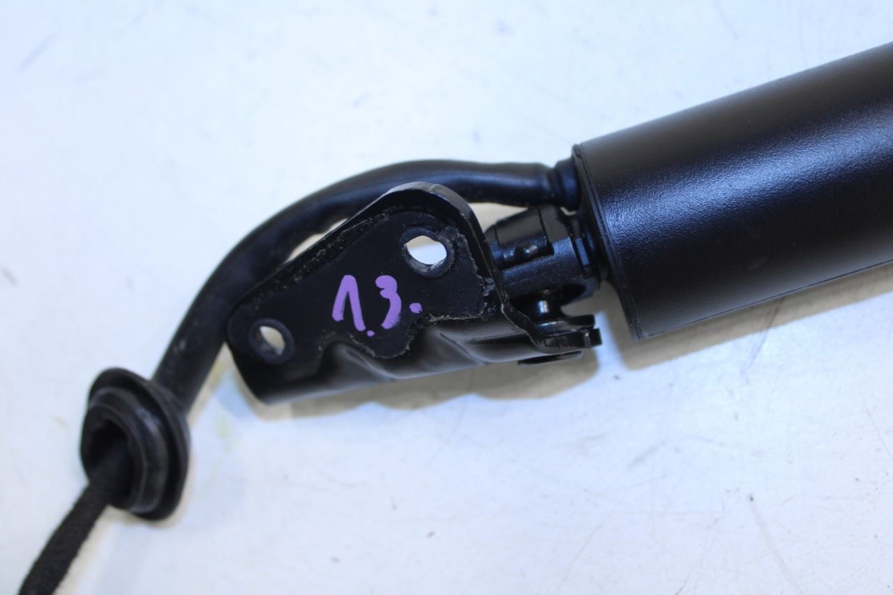 22-25 Hyundai Tucson SEL Rear RH and LH Tailgate Trunk Support Cylinder Strut - Alshned Auto Parts