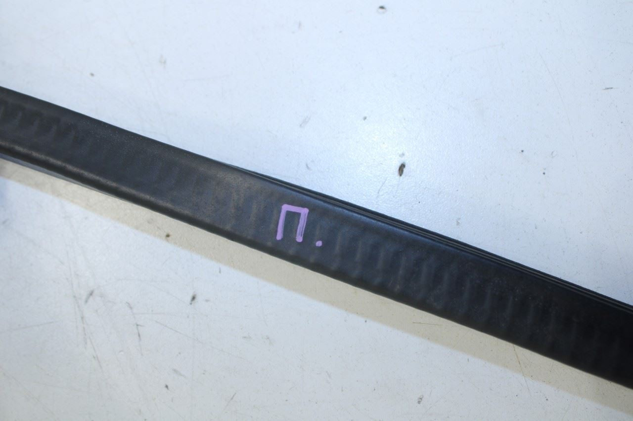 2008-2023 Dodge Challenger Front Right Door Run Channel w/ Weatherstrip On Body - Alshned Auto Parts