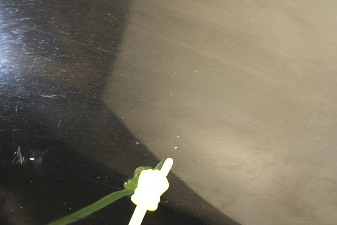 2016-2019 Nissan Sentra SV Front Right Passenger Fender Panel F3100-3YUMA OEM - Alshned Auto Parts