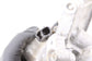 2016-2020 Mazda CX-3 Touring 2.0L AC Compressor Assembly D09W-61-450 OEM - Alshned Auto Parts