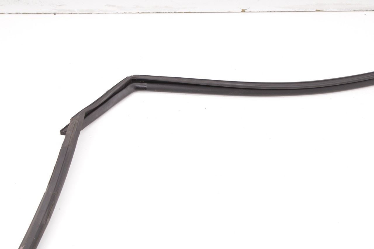 2013-2019 Nissan Sentra SL Rear Right Door Run Channel with Belt Outer Molding - Alshned Auto Parts