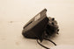 2019-22 Jeep Cherokee Latitude Rear Liftgate Latch Lock Actuator 68364386AA OEM - Alshned Auto Parts