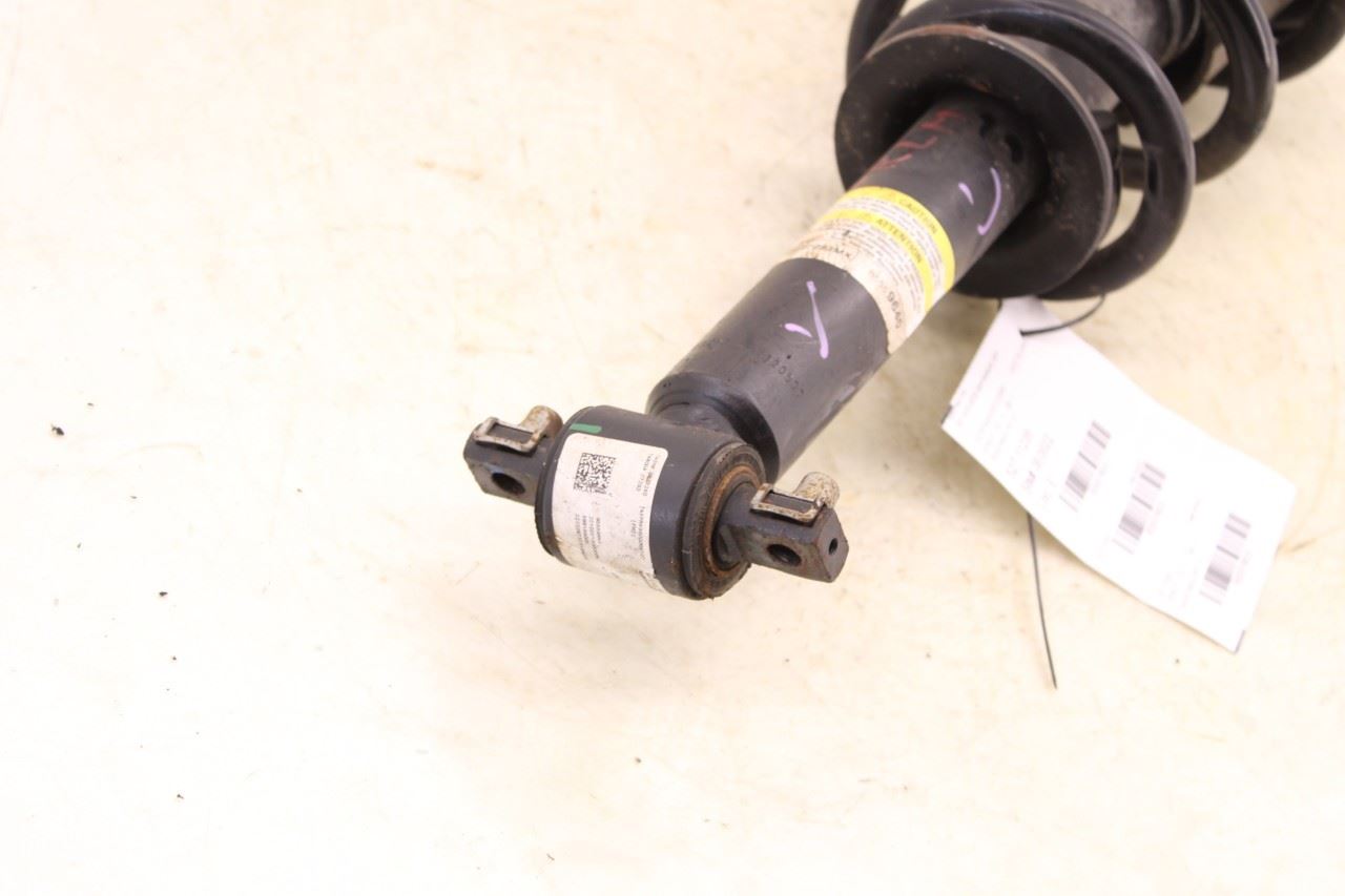 2019-2024 Chevrolet Silverado LT-L 2.7L 4x4 Front Left Side Shock Strut Absorber - Alshned Auto Parts