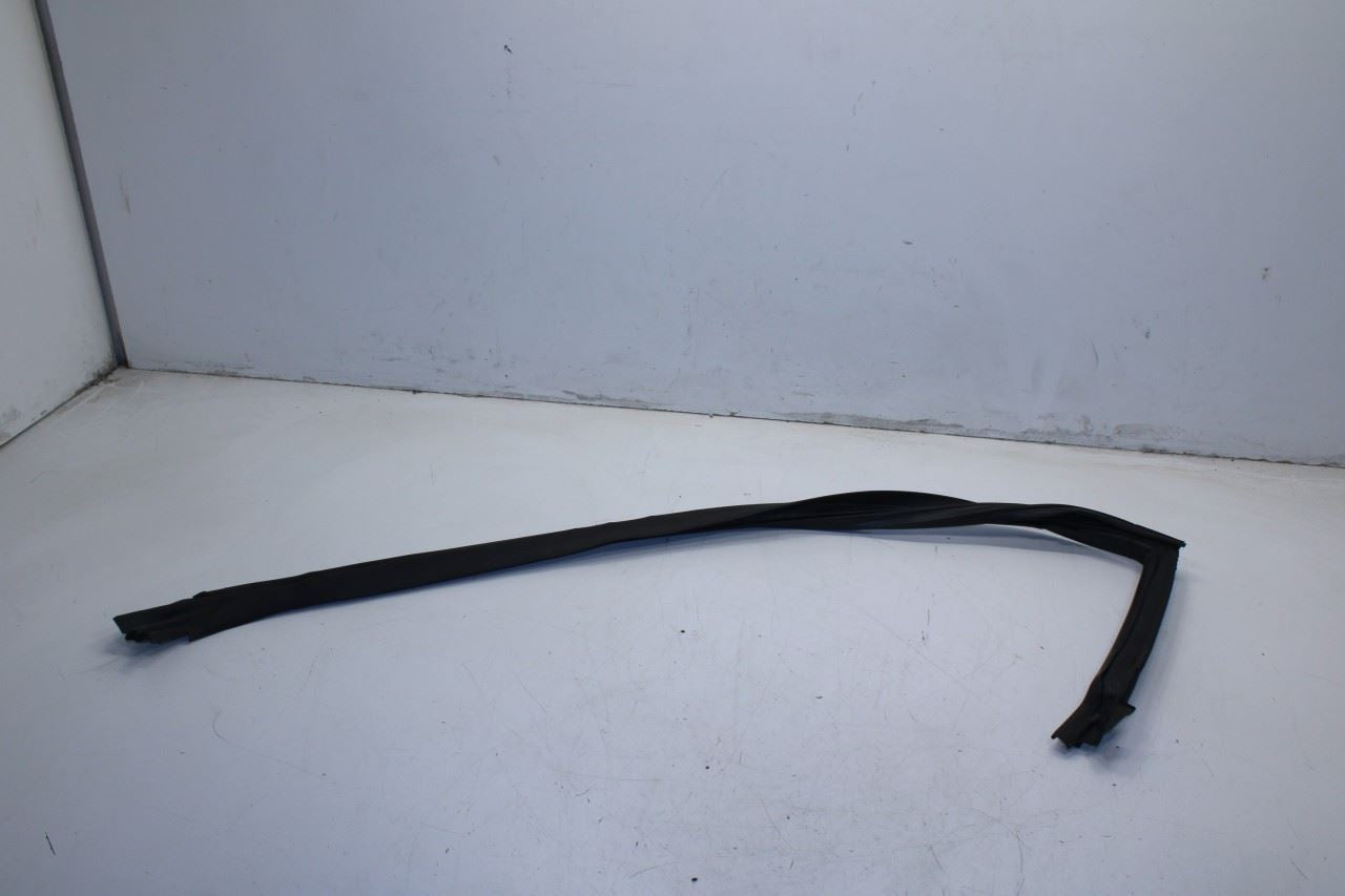 2008-2023 Dodge Challenger Front Left Door Run Channel w/ Weatherstrip On Body - Alshned Auto Parts