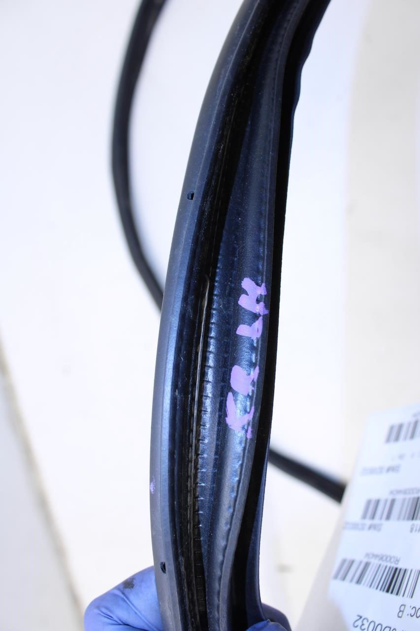 2014-2023 Infiniti Q50 Luxe RWD Rear Left Door Weatherstrip On Body 76924-4GA0A - Alshned Auto Parts