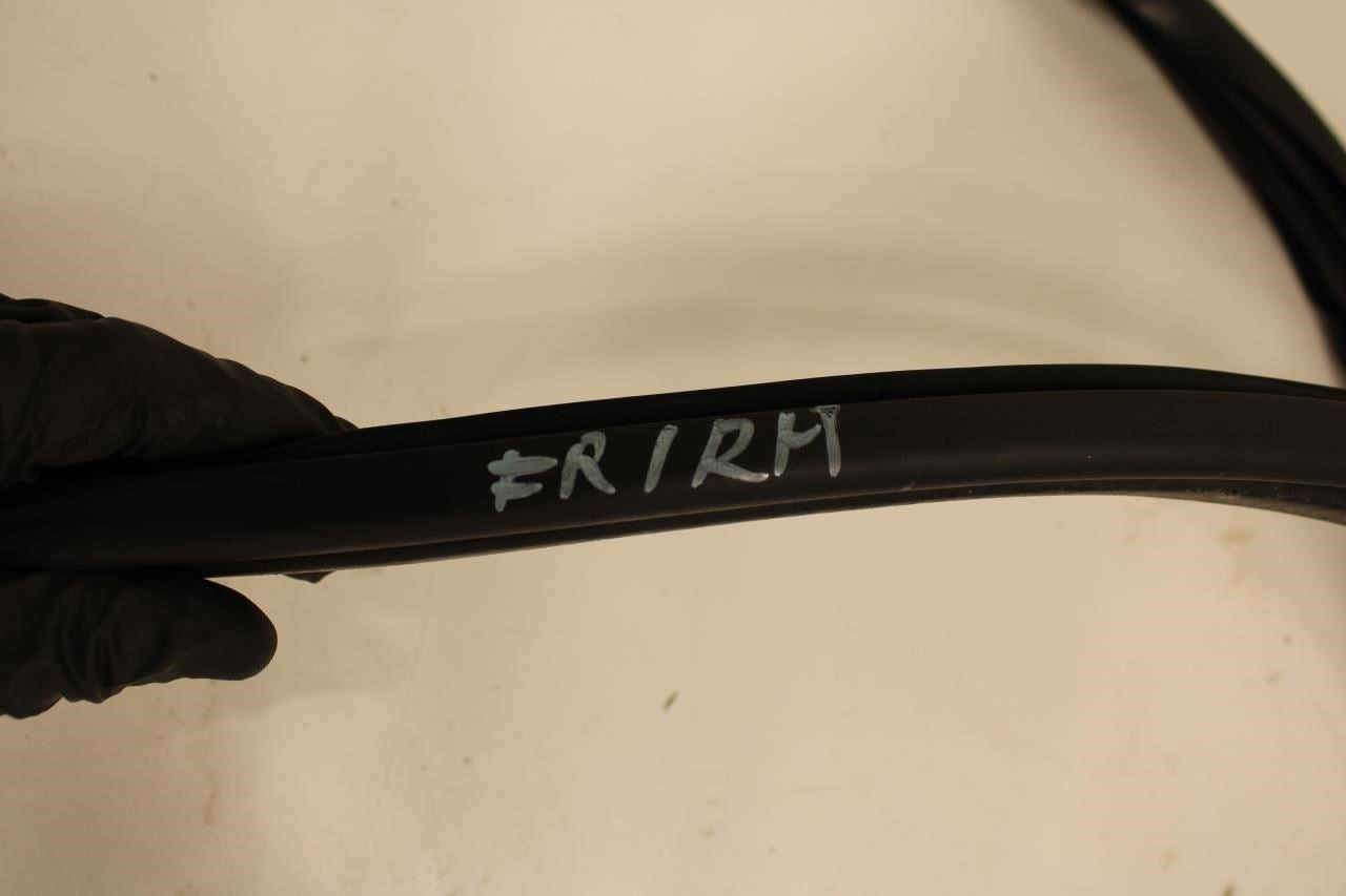 2015-2022 Ram ProMaster City Front Right Passenger Door Weatherstrip 68338438AA - Alshned Auto Parts