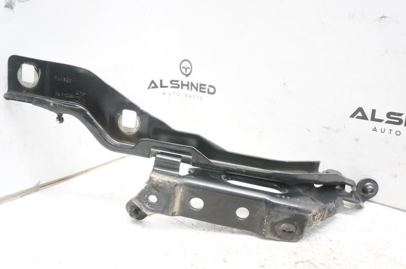 2015-2020 Ford F150 Front Left and Right Side Hood Bonnet Hinge FL34-16800-A OEM4