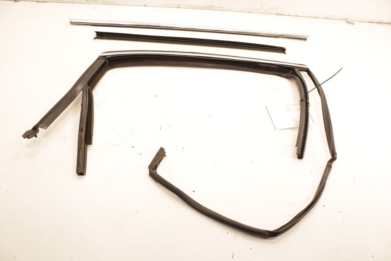 2012-2019 Volkswagen Passat SE Rear Right Door Run Channel w/ Belt Weatherstrips - Alshned Auto Parts