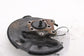 22-24 Toyota Corolla LE FWD Rear Left Side Bearing Hub w/ Disc Brake Dust Cover6