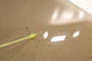 2012-2022 Volkswagen Passat SE Rear Left Door Window Glass 561-845-025-A - Alshned Auto Parts