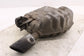 2012-2015 Audi A7 Premium 3.0L Rear Right Exhaust System Muffler Tip 4G0253610AD8