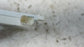2021-23 Hyundai Santa Fe SEL Front RH Side Seat Occupant Detection System Module - Alshned Auto Parts