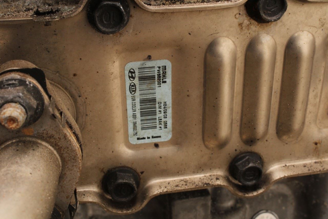 21-25 Hyundai Elantra SE 2L Engine Naturally Aspirated VIN G 8th dgt 36K *ReaD* - Alshned Auto Parts