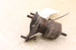 2011-20 Toyota Sienna LE 3.5L FWD Right Side Engine Mount Insulator 12362-0P051 - Alshned Auto Parts