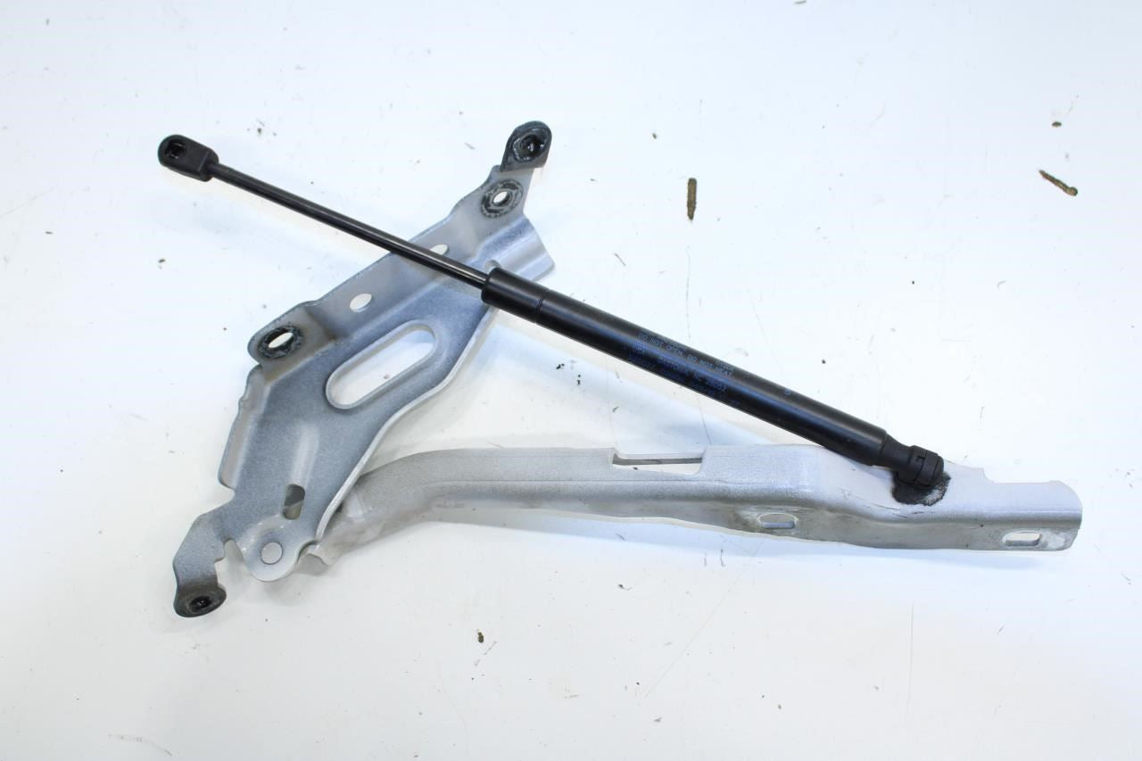 2015-2020 Ford F150 XL Front RH and LH Hood Hinge w/ Lift Strut FL34-16801-A OEM - Alshned Auto Parts