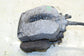 2007-18 BMW X5 xDrive35i Rear Right and Left Side Brake Disc Caliper 34216776788 - Alshned Auto Parts