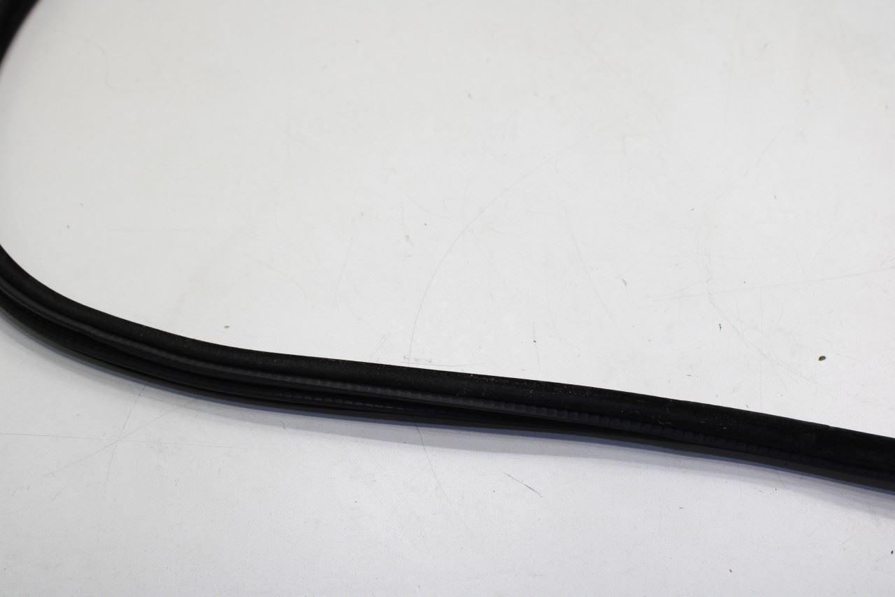 2014-2018 BMW X5 xDrive35i Rear Left Door Weathestrip On Body 51727289689 OEM - Alshned Auto Parts
