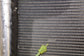 2011-2018 Porsche Cayenne Platinum 3.6L AC Condenser 7P0820411B OEM *ReaD* - Alshned Auto Parts
